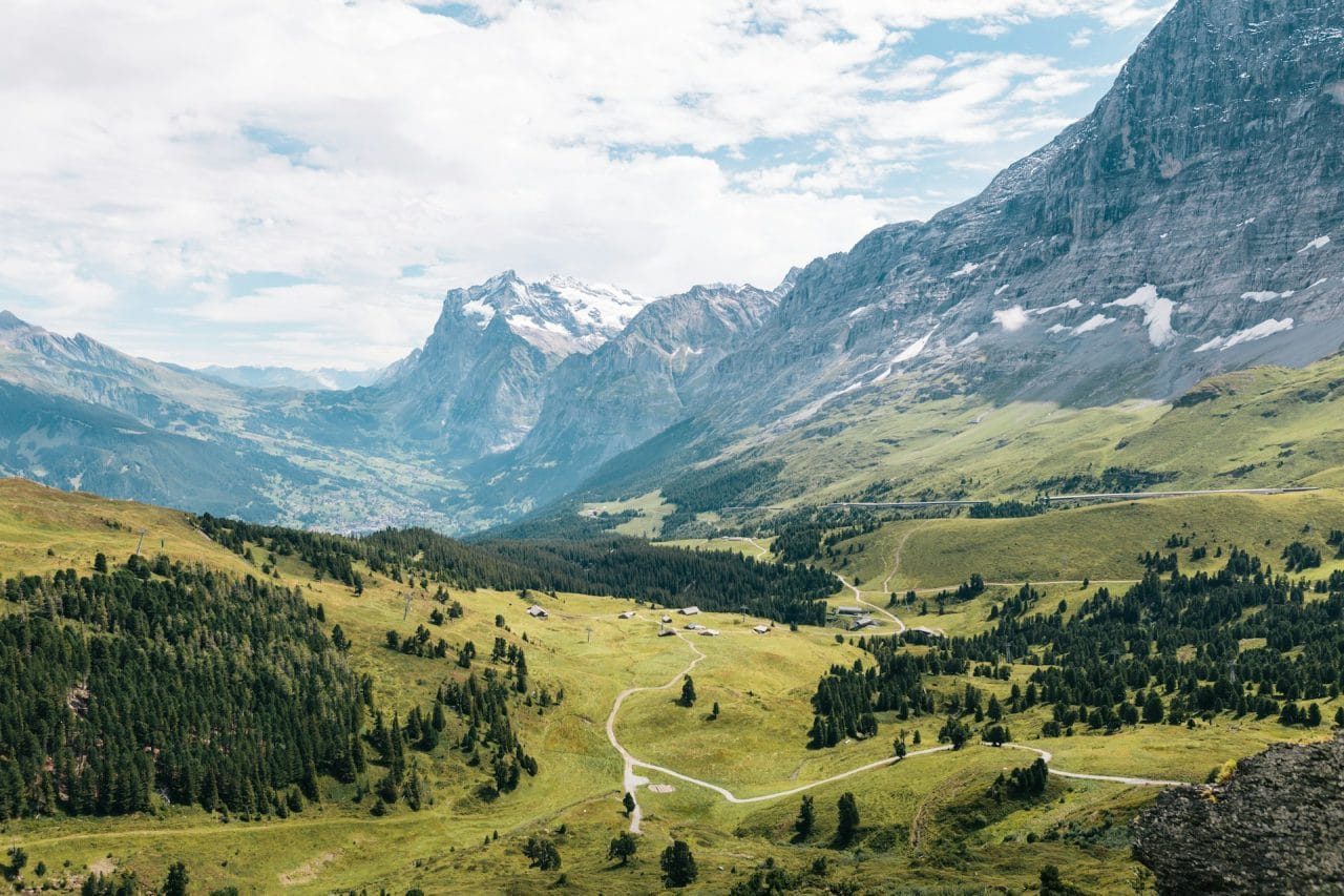 mountain filled with trees during daytime